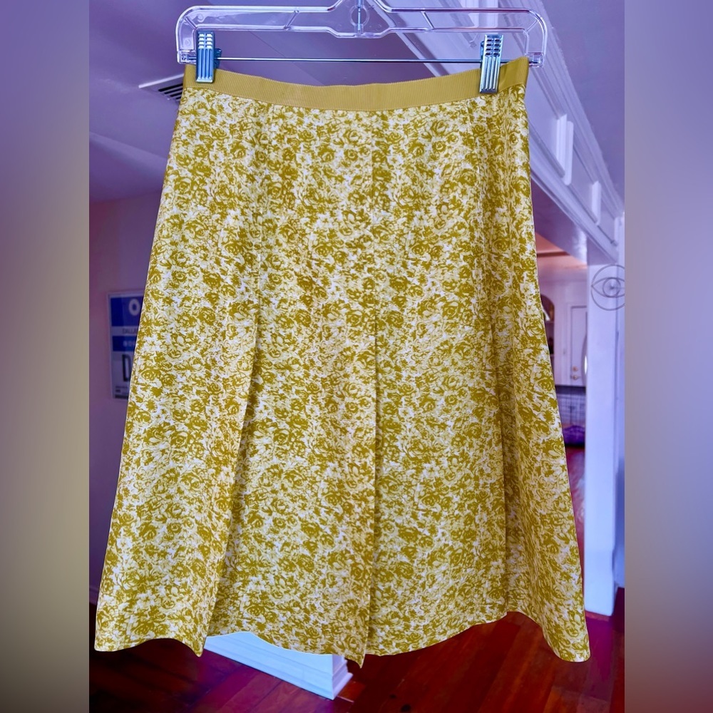 Banana Republic silk pleated skirt